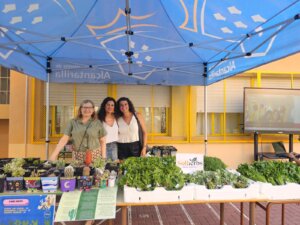hierbas aromaticas mar menor