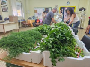 hierbas aromaticas evento benefico
