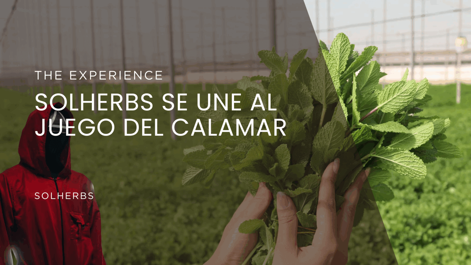 Imagen destacada para blog - Juego del calamar.