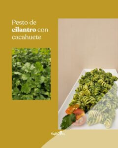 Hierbas aromáticas