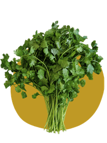 Hierbas aromáticas