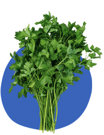 Hierbas aromáticas